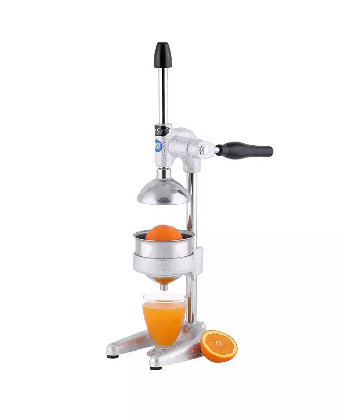 Ev Tipi Meyve Presi - 0101 - 1