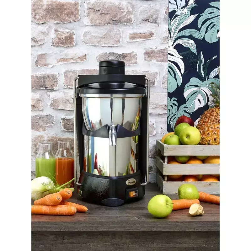 No 50 Katı Meyve Sıkma Makinesi - 3